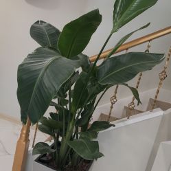 -赫本轻奢美颜中心
