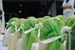 草坪一角-锦江饭店·锦江小礼堂·宴会厅