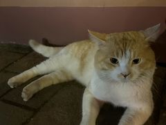 -海底捞火锅(荔胜广场生日主题店)