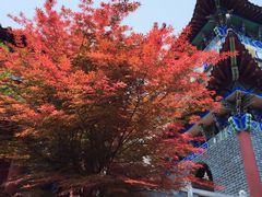 -天门寺