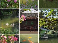 -太平天国历史博物馆(瞻园)
