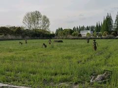 -嘉北郊野公园