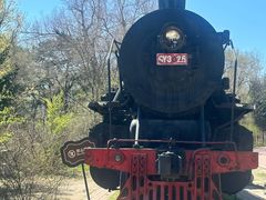 -长春市南湖公园