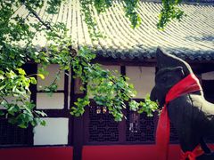 -金堂县云顶石城风景区