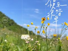 -白草畔自然风景区