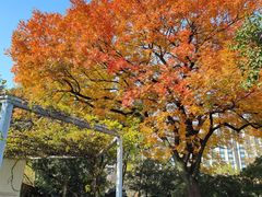 -桂林公园(地铁站)