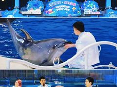 -泉城欧乐堡海洋极地世界