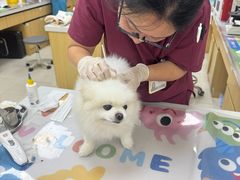 -美联众合动物医院·24h京西诊疗中心