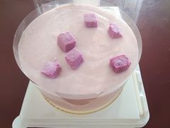 -CAKE BOSS 蛋糕老板(西单君太百货店)
