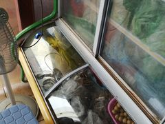 水产区-李记牛杂店(建设一街店)