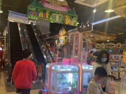 -卡通尼·Safari非洲探索乐园·生日会(金桥国际商业广场店)