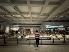-中国宋庆龄青少年科技文化交流中心