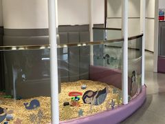 -龙格亲子游泳·水育早教运动中心(绿城店)