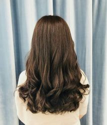-YESIDO椰岛造型
