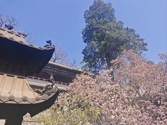 -潭柘寺景区