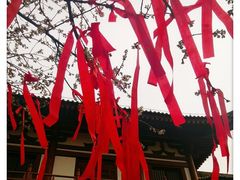 -西安青龙寺遗址景区