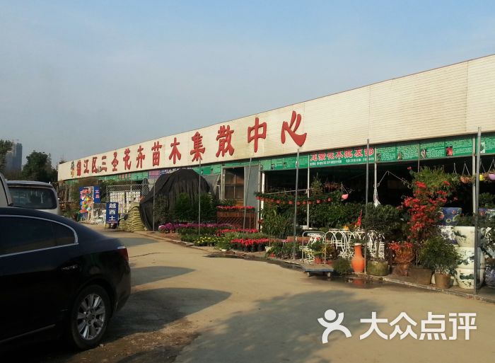 三圣花卉苗木集散中心图片 第3张