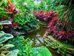 -呀路古热带植物园