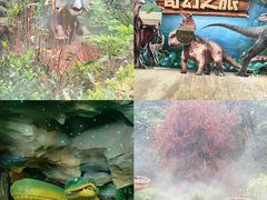 -贵州森林野生动物园