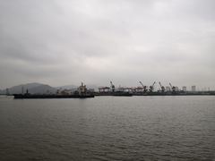 -芒洲湿地公园