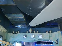 -重庆欢乐海底世界