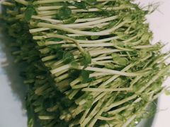 -洪氏嗨捞·猪肚鸡火锅(阳光天地店)