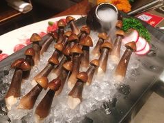 活体松香菇-捞王锅物料理(上海世茂广场店)