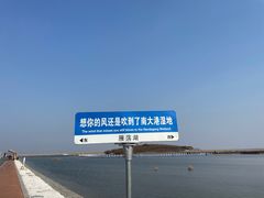 -南大港湿地风景区