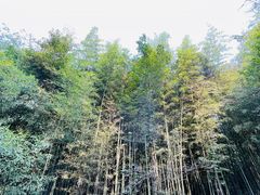 -四门塔风景区