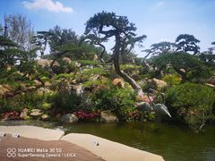 -罗红摄影艺术馆