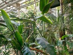 -龙达温泉生态城