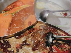 -辣伍鲜毛肚老火锅(元一店)