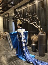 -盘子女人坊古装写真摄影(深圳店)