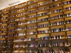 -深影国际影城(学院南路店CGS中国巨幕店)