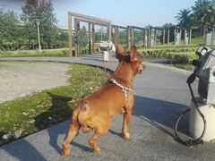 -爱侣宠医·鹦鹉专科·小型哺乳类·异宠专科(灵石路店)