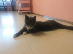 -Pink You美甲美睫纹绣定制中心