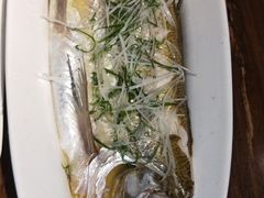 鸡汁蒸太湖白鱼-金枝玉叶上海人家食府(三里河店)