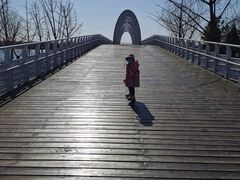 -大兴滨河森林公园