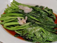 -南堂馆·新川菜(春熙路店)