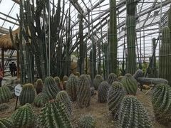 -南山植物园