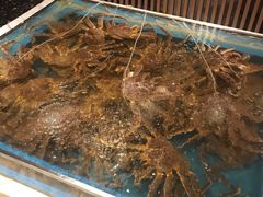 -蟹将军·松叶蟹和牛日料放题自助(K11店)