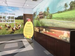 -吉隆坡雀鸟公园