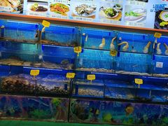 -前王院•巧克力海鲜市集餐厅(万平口店)