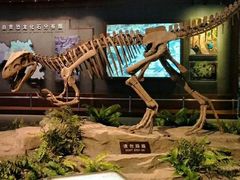 -自贡恐龙博物馆