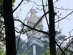-大金鹰园