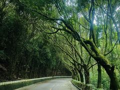 -梅州雁山湖国际花园度假区