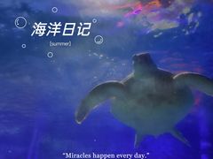 -北国之春国宴(乌兰察布店)