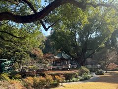 -申粤轩酒楼·三十年粤菜经典(丁香花园店)