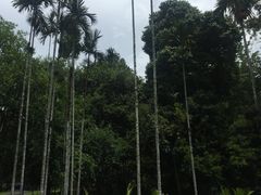 -中国科学院西双版纳热带植物园