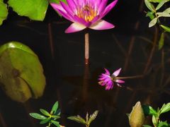 -北京师范大学(珠海校区)